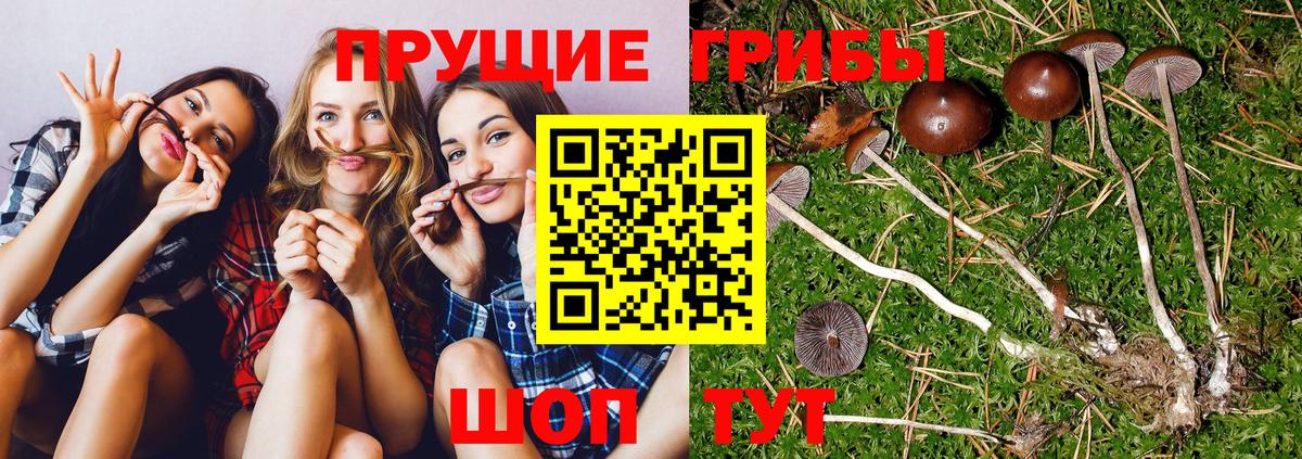 Галлюциногенные грибы мухоморы  Вход с VPN  Стрежевой 
